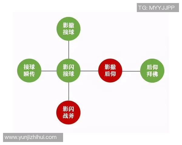 深圳排球队实力对比深度解析与未来发展趋势探讨