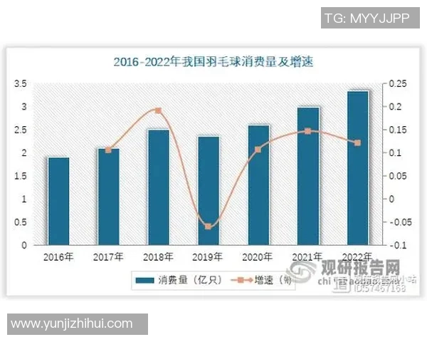 武汉羽毛球队的整体压制与深度分析探讨羽毛球运动的未来发展之路 武汉羽毛球队的整体压制与深度分析探讨羽毛球运动的未来发展之路