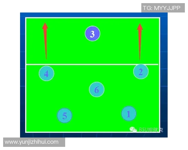 成都排球队进攻体系解析与排球战术创新研究
