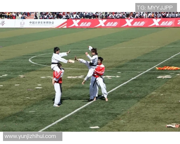 成都网球队默契配合助力联赛表现精彩纷呈