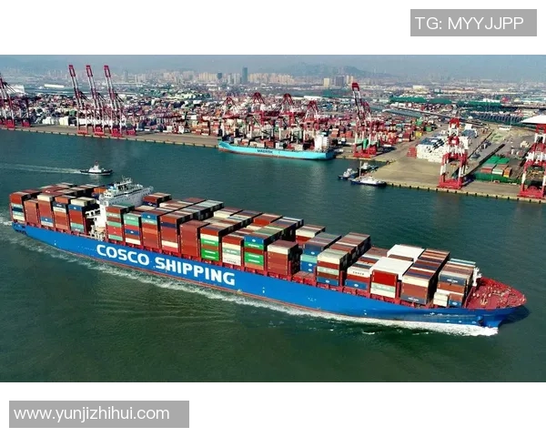 成都攀岩队攀岩意识创新高引领全国攀岩运动新潮流