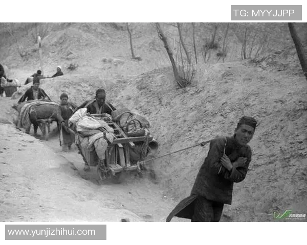 深圳攀岩队的奋斗历程与成长故事全景纪实